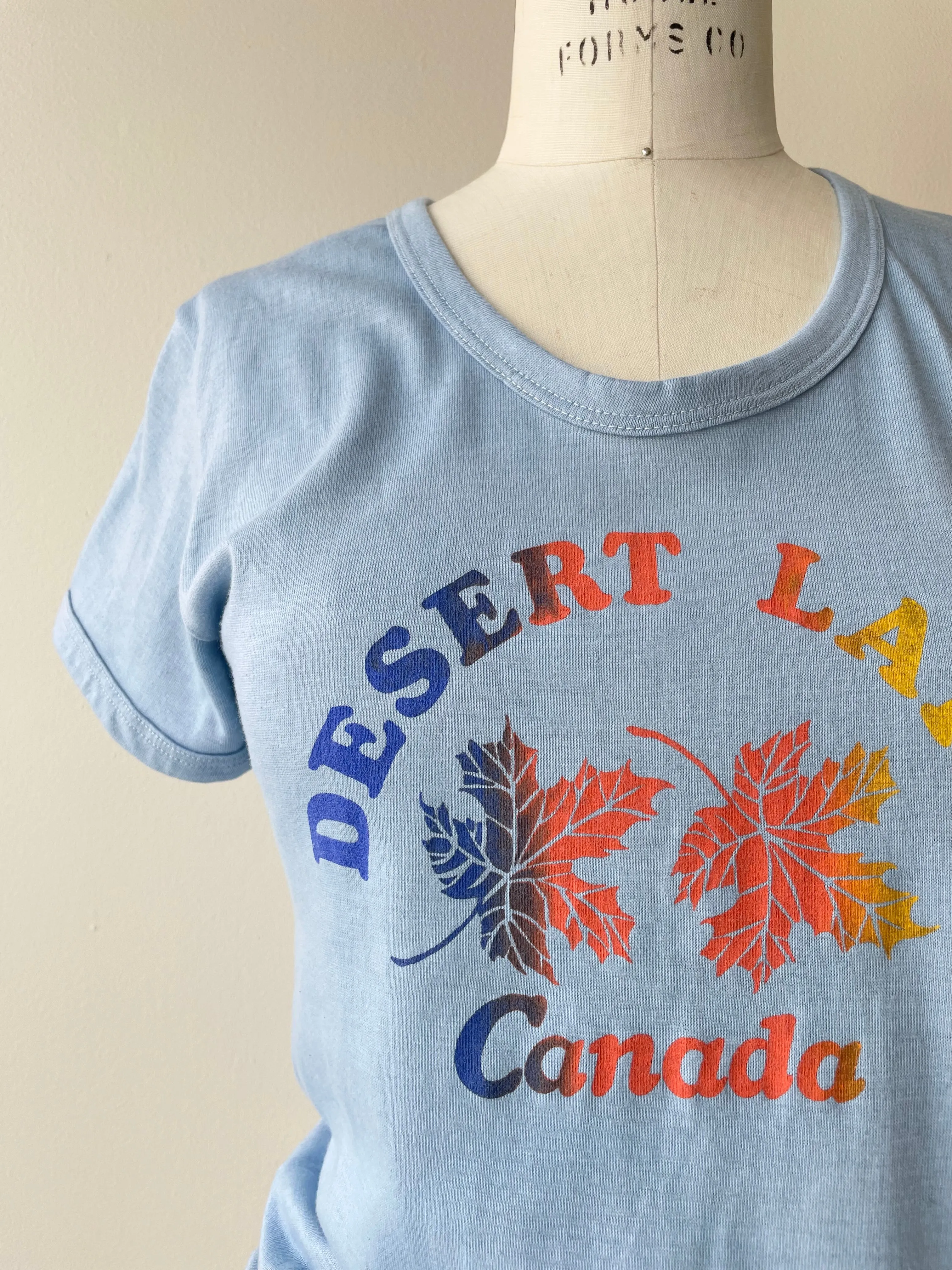 Vintage Desert Lake T-Shirt from the 1970s